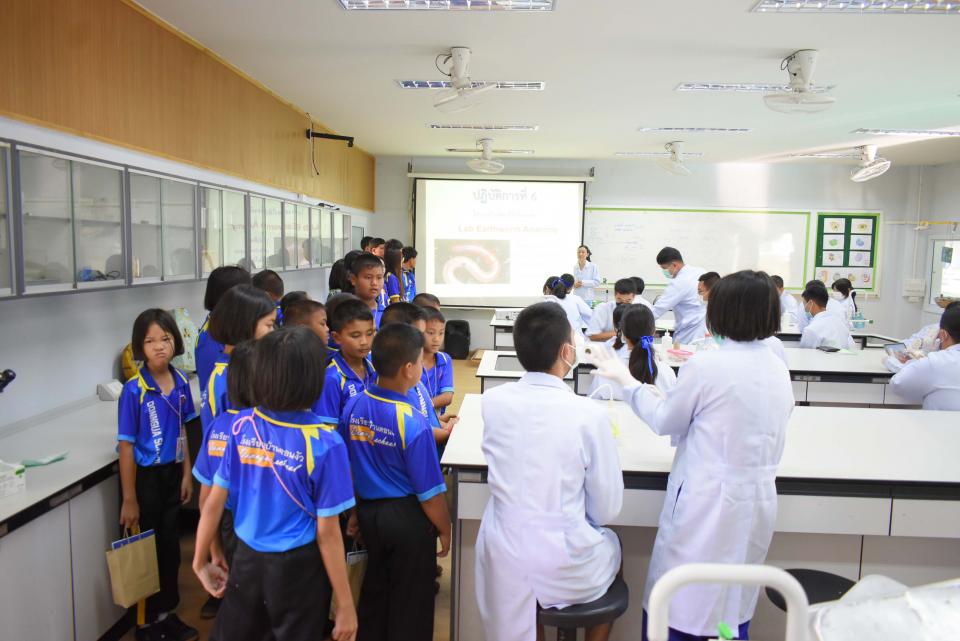 activity-welcome-donngua-ubon3